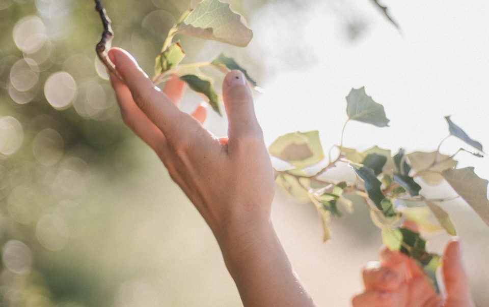 Reaprendre a estimar-me a través de la meditació. Presència, meditació i gestalt